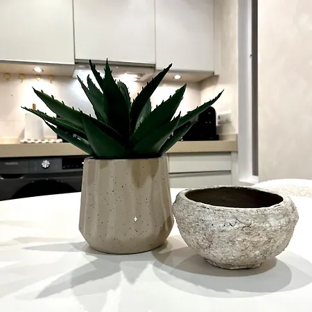 Barrio Luzan By United Renters Apartment